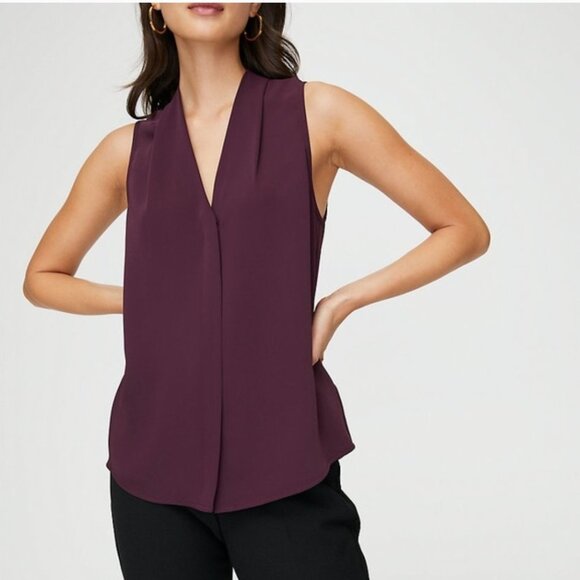 Aritzia Plum Sleeveless Blouse - Picture 1 of 12